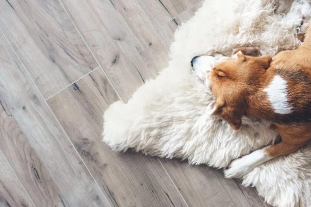 Best Flooring for High Traffic Areas