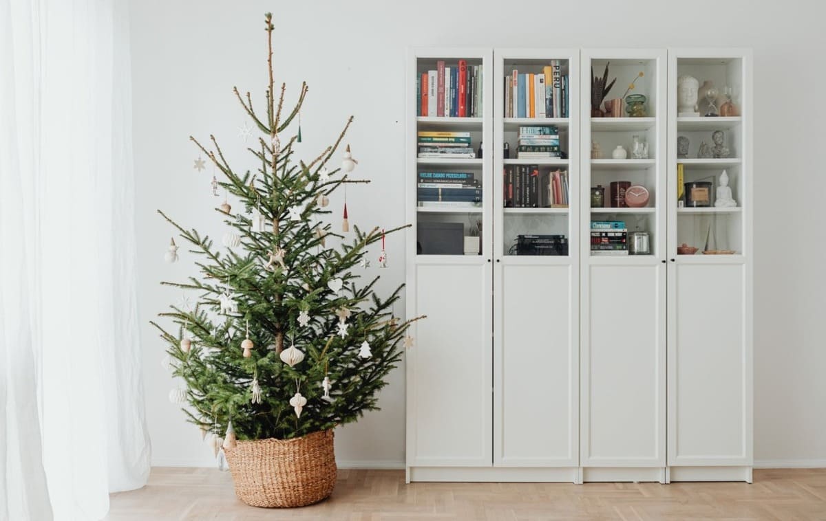 Christmas tree & hardwood floors